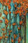 USA, Washington State, Port Townsend, Fort Worden State Park. Rusty metal on WWII gun battery. Art Print